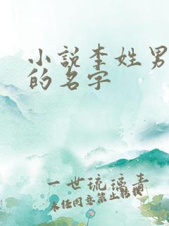 小说李姓男主角的名字