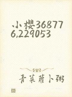 小樱368776,229053