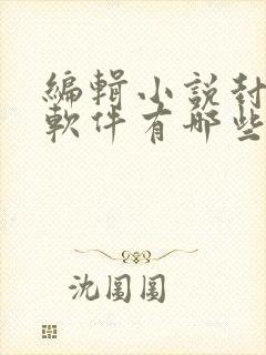 编辑小说封面的软件有哪些