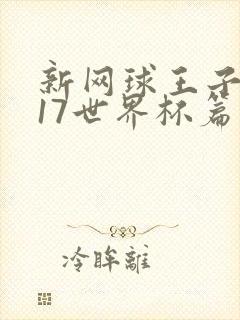 新网球王子 u17世界杯篇