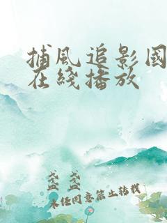 捕风追影国语版在线播放