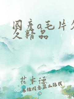 国产a毛片久久久精品