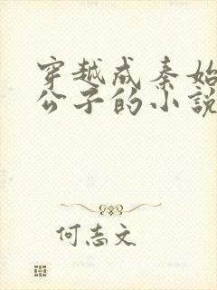 穿越成秦始皇二公子的小说