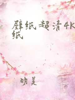 壁纸超清4k壁纸