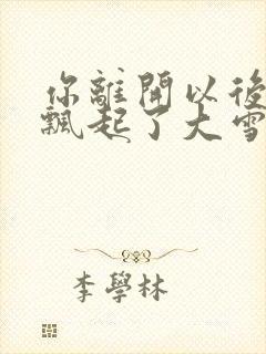 你离开以后天空飘起了大雪是哪首歌的歌词