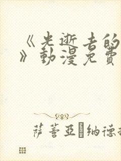 《光逝去的夏天》动漫免费观看