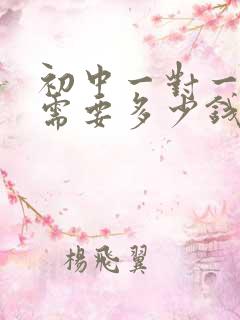 初中一对一辅导需要多少钱