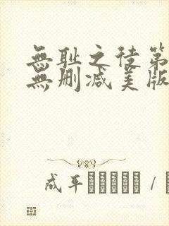 无耻之徒第九季无删减美版