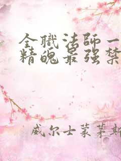 全职法师一天一精魄最强禁咒