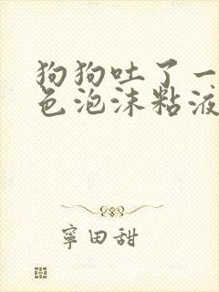 狗狗吐了一滩白色泡沫粘液方法