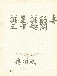 谁是谁的妻 张三笔趣阁