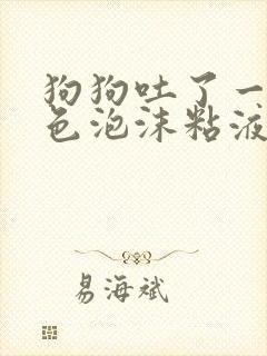 狗狗吐了一滩白色泡沫粘液无精神