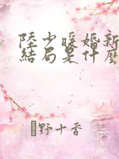 陆少暖婚新妻大结局是什么