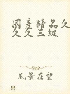 国产精品久久久久久三级