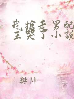 我抢走男配后女主哭了小说免费阅读