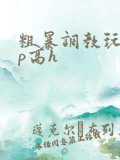 粗暴调教玩弄np高h