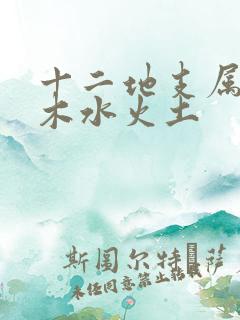 十二地支属性金木水火土