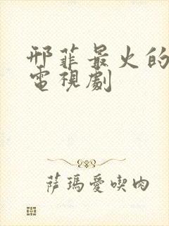 邢菲最火的十部电视剧