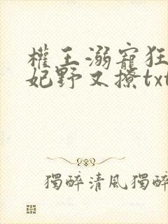 权王溺宠狂傲王妃野又撩txt