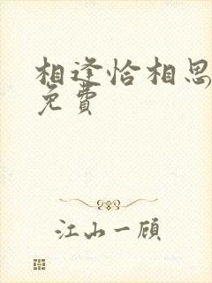 相逢恰相思全集免费