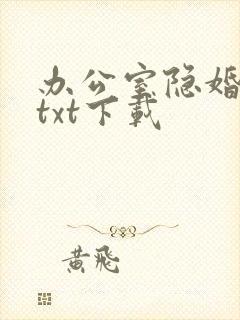 办公室隐婚轻黯txt下载