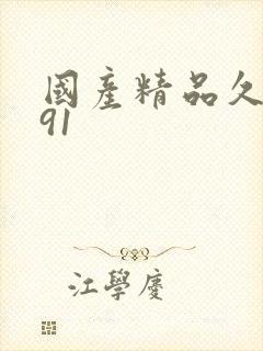 国产精品久久久91