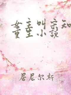 女主叫宋知意的重生小说