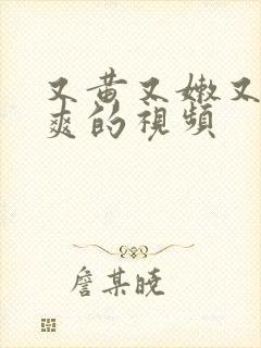 又黄又嫩又猛又爽的视频