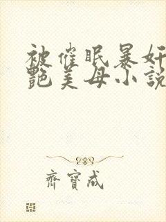 被催眠暴奸的冷艳美母小说