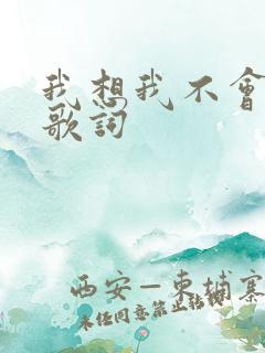 我想我不会爱你歌词