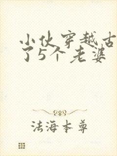 小伙穿越古代娶了5个老婆