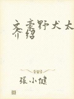 文豪野犬太宰治介绍