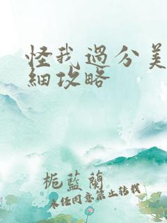 怪我过分美丽详细攻略