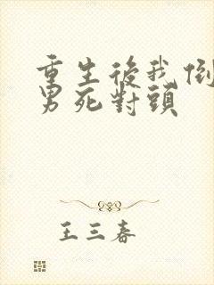 重生后我倒追渣男死对头