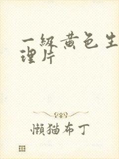 一级黄色生活伦理片