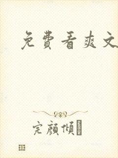 免费看爽文小说