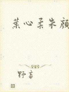 叶心柔朱颜小说