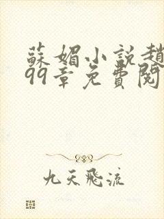 苏媚小说赵春城99章免费阅读全文