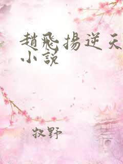 赵飞扬逆天成仙小说