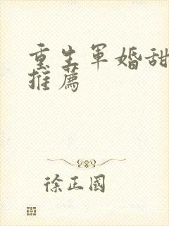 重生军婚甜宠文推荐