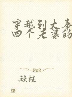 穿越到大奉娶了四个老婆的小说