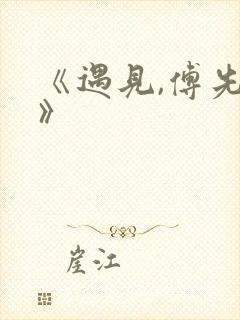 《遇见,傅先生》