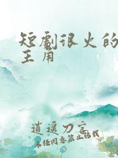 短剧很火的男女主角