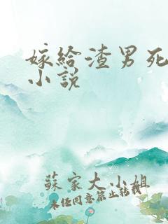 嫁给渣男死对头小说