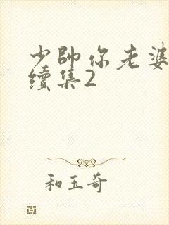 少帅你老婆跑了续集2