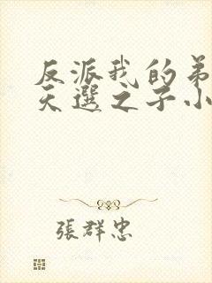 反派我的弟弟是天选之子小说