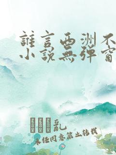 谁言西洲不知意小说无弹窗