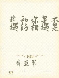 我和你是不该相遇的相遇是什么歌