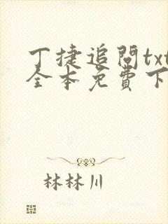 丁捷追问txt全本免费下载