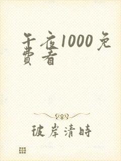午夜1000免费看